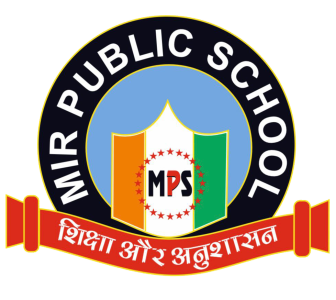 MIR Public School